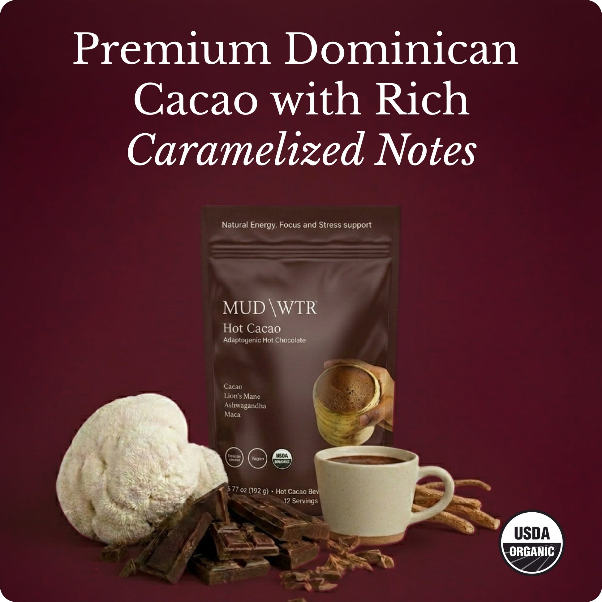 hot-chocolate-m7 Hot_Chocolate_Image_01.jpg