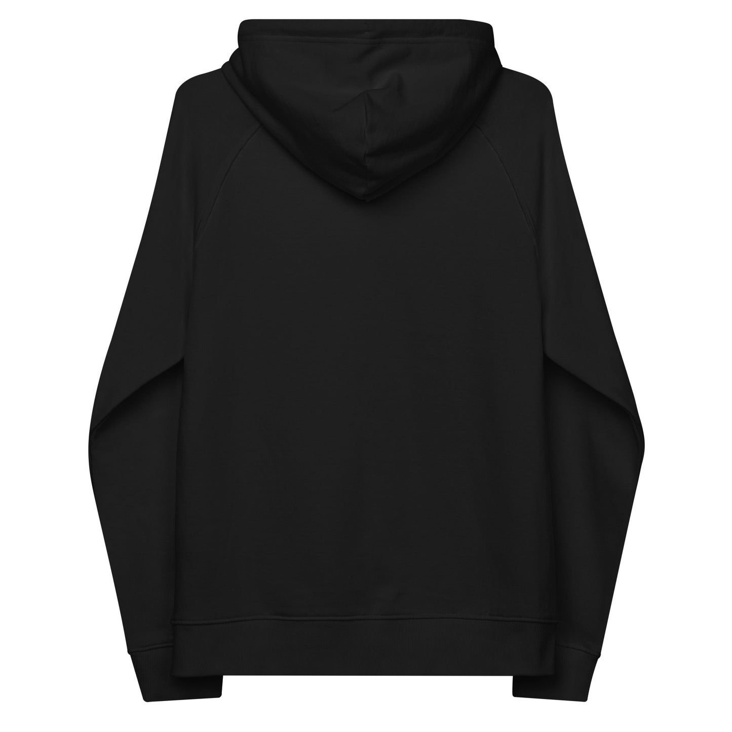 unlearn-relearn-hoodie-l5 unisex-eco-raglan-hoodie-black-back-647547b169f25.jpg