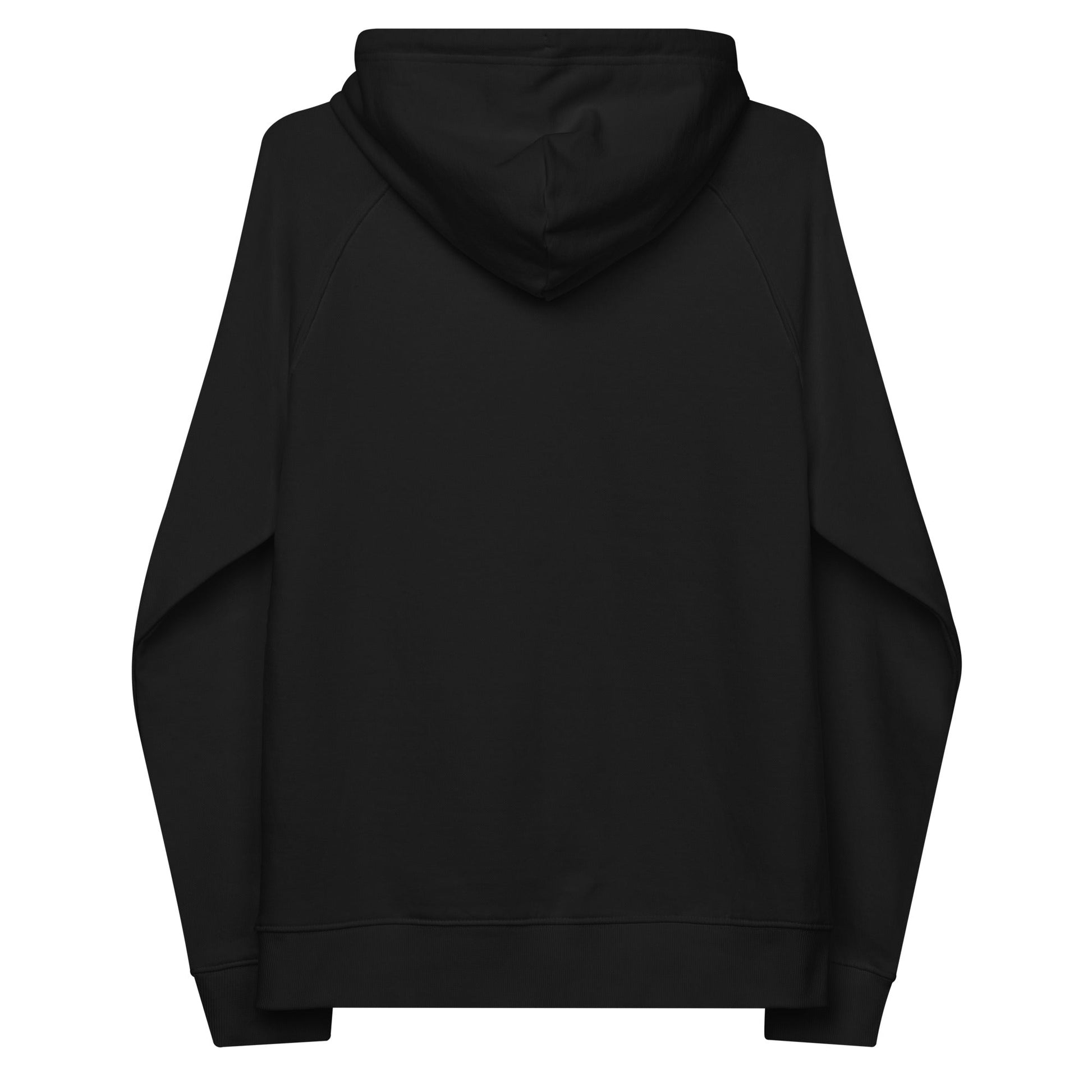 unlearn-relearn-hoodie-l5 unisex-eco-raglan-hoodie-black-back-647547b169f25.jpg